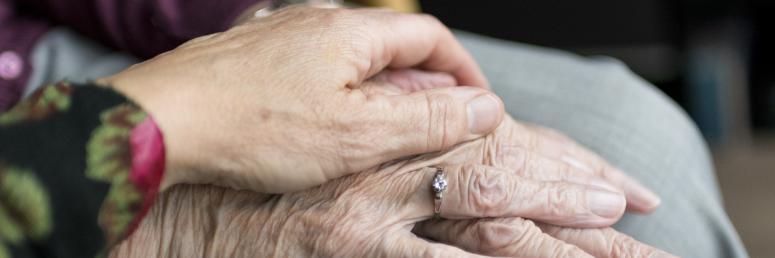 hands